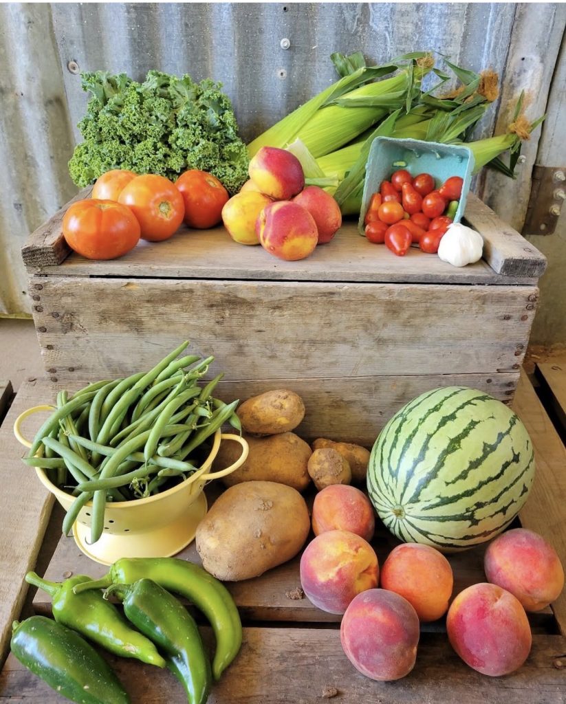 A CSA share arranged on wooden crates: kale, sweet corn, tomatoes, peaches, green beans, potatoes, peppers and a watermelon